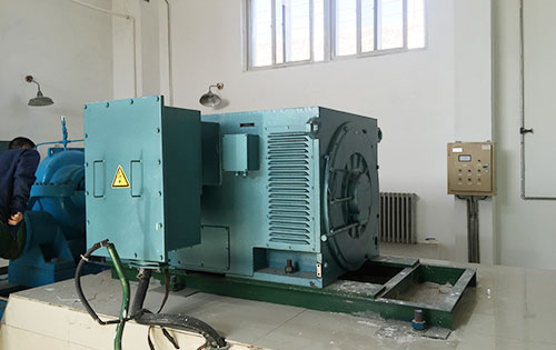 卢市镇某水电站工程主水泵使用我公司高压电机