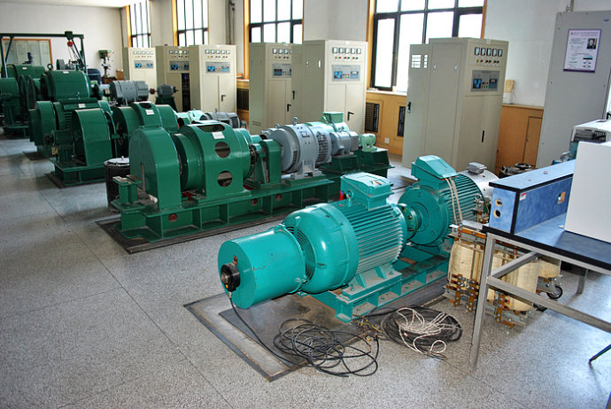 卢市镇某热电厂使用我厂的YKK高压电机提供动力