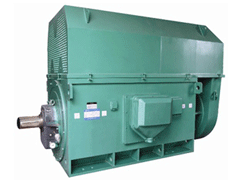 卢市镇Y系列6KV高压电机